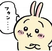 フミの画像