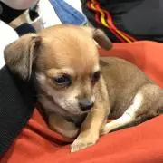 ともみ