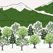杜Forestの画像