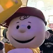 こまめの画像