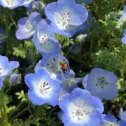 coIorfulの画像