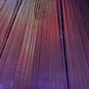 やまこうの画像