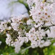 みプロフ必読くださいの画像