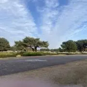 Lunaの画像