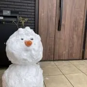 tomo.s0215の画像