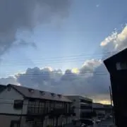 NAOの画像