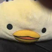 ぽよ