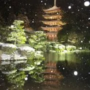 Shinnosuke Kunihiroの画像