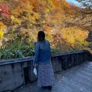 Uの画像