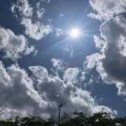 まるまるもりもり