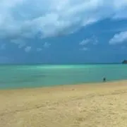 さくさくの画像