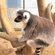 Sora.の画像