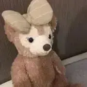 るちるの画像