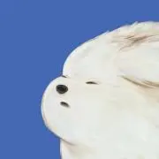 Eeeの画像