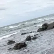 ME-