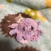 mociの画像