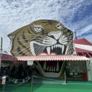 ひーくん