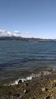 勝
