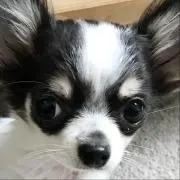 NICO☺︎プロフ要確認の画像