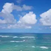 きららの画像