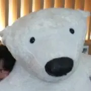 さとみわの画像