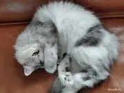 可愛い水草の画像