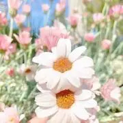 ハナ
