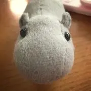 めるこの画像