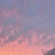 おぶうの画像