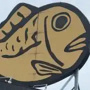 ヒナヒナの画像