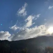 Oz-Moの画像