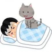 はみ