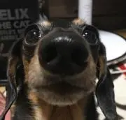 ラッキー☆スター