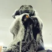 フォースの画像