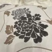 muの画像