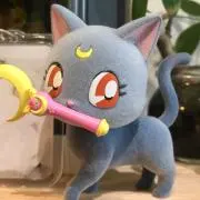 イカちゃんGMTの画像