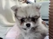 シゲちゃん