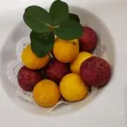 みみ•*¨*•.¸¸♬︎の画像