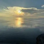 みきの画像