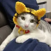 アクア
