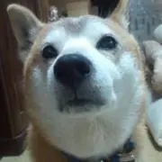 まっつん