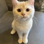 ゆうたんの画像