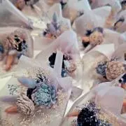 ひのき*プロフ推奨の画像