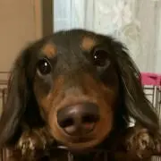 ☺ちぃ☺
