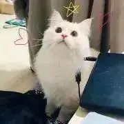 さんプロフ必読