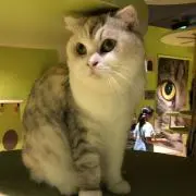 ゆうき
