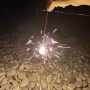 フミの画像