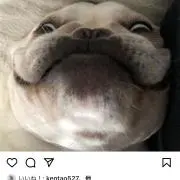 すぺぺぺぺの画像