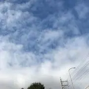 ぱっしょり