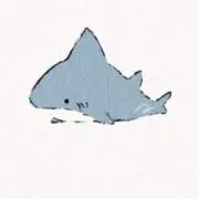 さめっこの画像